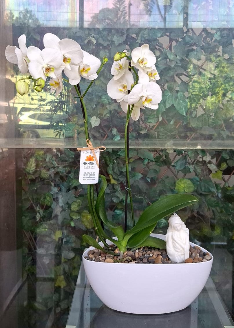 Arreglo 150 - Barco con planta de orquídea y virgen